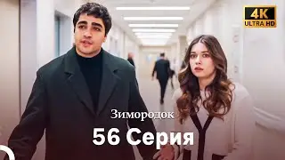 Зимородок 56 Cерия (Русский дубляж) (4K)