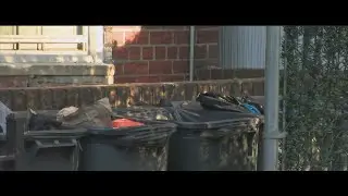 Severed body parts found in a garbage bin in NYC: NYPD