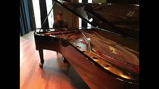 F.Chopin - Nocturne Op. 9 - 2