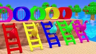 Adorable 3D Animal Friends | Kids Animation Video