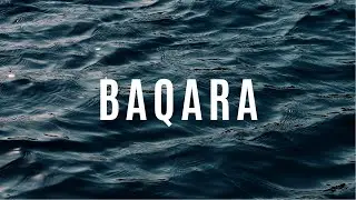 Lofi Quran | Surah Al Baqarah | (With the sound of ocean waves)