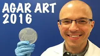 Submit Today ! Agar Art 2016 - Deadline May 6