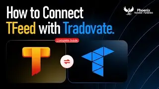 How to trade on TFeed using Tradovate ?