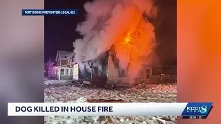 Firefighter injured, dog dies after house fire in Fort Dodge