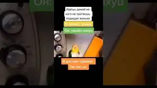 мем # 46