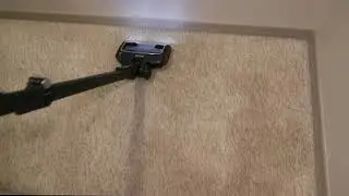 Shark Vertex Pro IQ Cordless, Natural Dirt