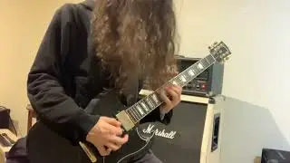 I've Gone Away Guitar Solo - Zakk Wylde Black Label Society