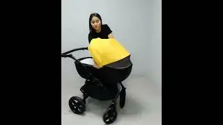 Модульная коляска 2 в 1 ALBA
