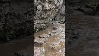 Interesting walk: Chee Dale