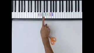 The 7 musical notes