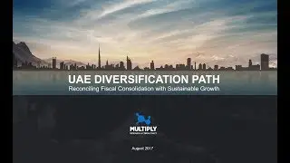 UAE Diversification Path