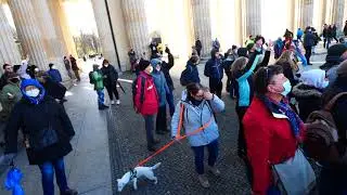 Dr  Heinrich Fiechtner bei der Festnahme 5 4 2021 Brandenburger Tor