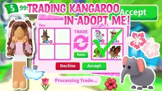 BEST TRADE EVER?! Trading a Kangaroo in Adopt Me 🦘