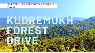 🔥 Kudremukh National Park Drive | The ULTIMATE Western Ghats Road Trip! 🚗💨