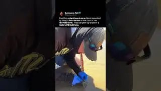 3 Meter Monster in the Sand! 🪱