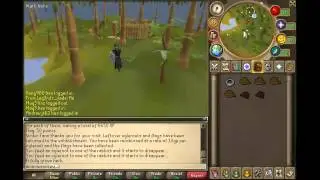 1-99 Hunter Guide Runescape 2013 - Fastest XP and Money Making Methods