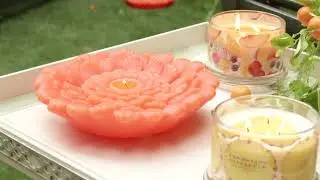 HomeWorx by Harry Slatkin Farmstand Bug Repellent Flower Candle on QVC
