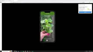 User Testing of App prototype Sprout 3