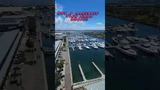 Day Trip in Melbourne, Australia : Queenscliff!! #shorts #shortvideo #trending