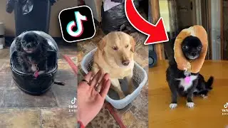 1Jolly1 Tiktok’s To Watch When Sad!! *compilation*