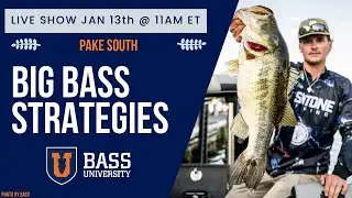 Pake South | Big Bass Strategies - BU Live #398