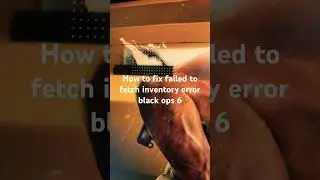 How to fix failed to fetch inventory error black ops 6
