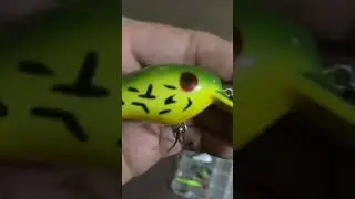 Organize my fishing tackle ￼