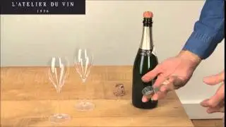 Pince &agrave; Bouchon BD   87081