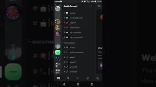 Duckie Support Server Review