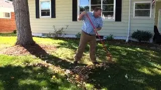 Fall Yard Cleanup | From the Ground Up