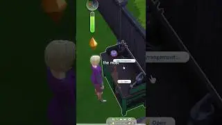 Is The Sims 4 fun with only one pack Seasons