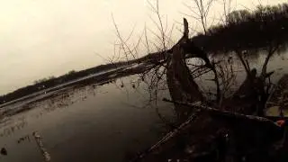 Indiana Mallards