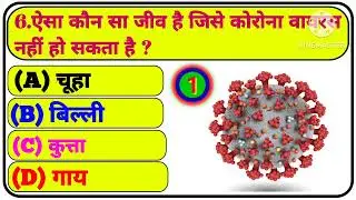 Gk Question ॥ Gk In Hindi ॥ Gk Question and Answer ॥ Gk Quiz ॥ MJ AG STUDY