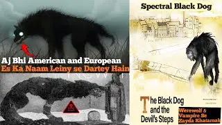 Scary story of American and European | Spectral Black Dog unsolved mystery