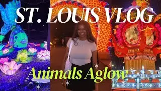 VLOG ✧˖&deg; Animals Aglow Fest at St. Louis Zoo! 🎏🎆🐅