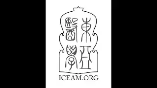 ICEAM Australia FAQ 4 - Can the Shanghan Lun be used without the dangerous herbs?