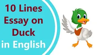 Write an Essay about Duck in English || Duck Essay 10 Lines