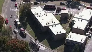 3 people and their dogs rescued amid apartment fire in Dallas, officials say
