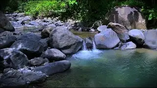 Relaxing Water Ambience Inspired by Natural River Flow
