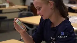 Thomas More University - Dr. Lorentz