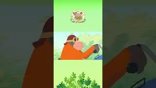 Ciao Ciao - Birizoo