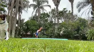 My first short #shorts 