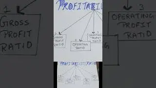 calculation of profitability ratio #how profitability ratio calculated #meera magic commerce
