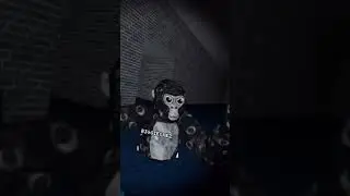 I don't speak sign language