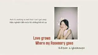 (Vietsub) Love grows (where my Rosemary goes) - Edison Lighthouse
