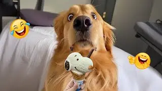 Unbelievable! 😱 FUNNY DOGS 2025 &ndash; The Best Dog Fails and Goofy Moments Ever 🤪🐶 #30