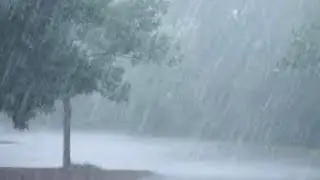 Gusty Showers: Forecast #9, Video Forecast Page 2 of 2, TimeLapse.