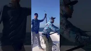 Secrets to Catching Record-Breaking Tuna  @drangler-p1c