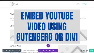 How to Embed a YouTube Video With Gutenberg & Divi - WordPress 2021