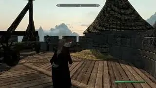 Dragonfall Castle (LE)